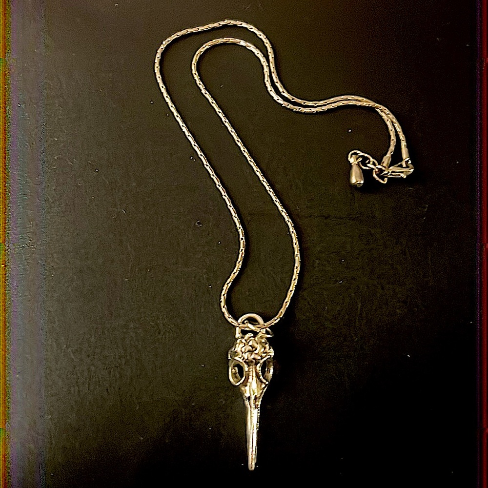 NWOT Silver Raven Skull Pendant Necklace
